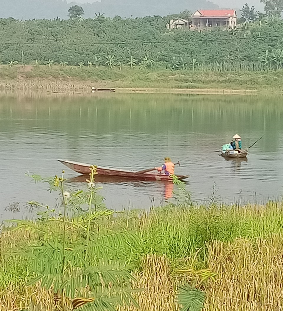 Thơ: Chút tâm sự nghề Tư vấn điện